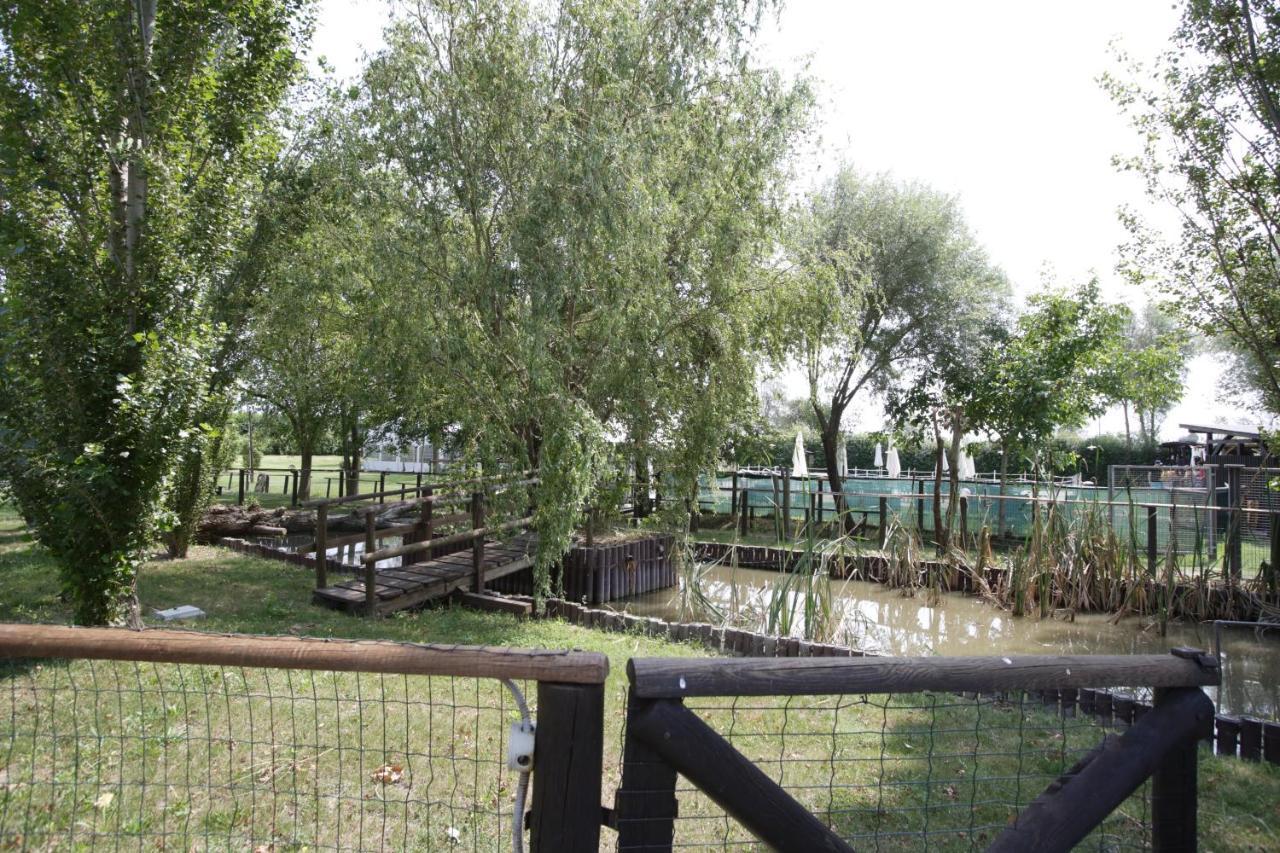 Agriturismo Casa Carpanelli Nonantola Eksteriør bilde